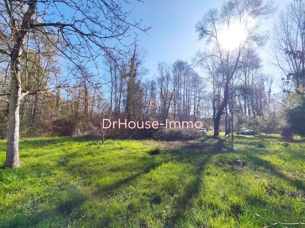 Terrain à SAINT-GEORGES-LES-BAILLARGEAUX