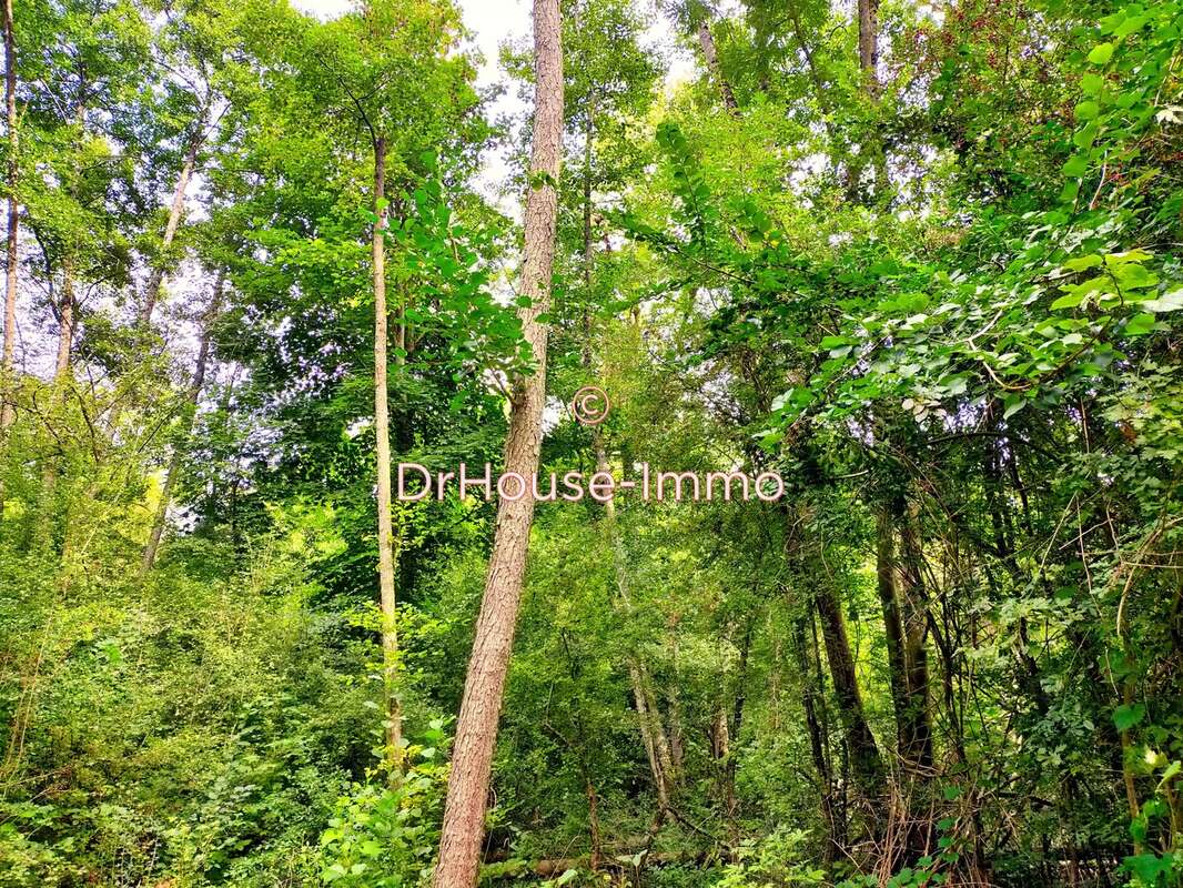 Terrain à SAINT-GEORGES-LES-BAILLARGEAUX