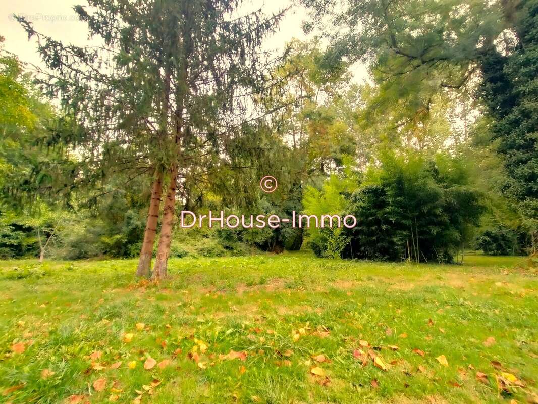 Terrain à SAINT-GEORGES-LES-BAILLARGEAUX