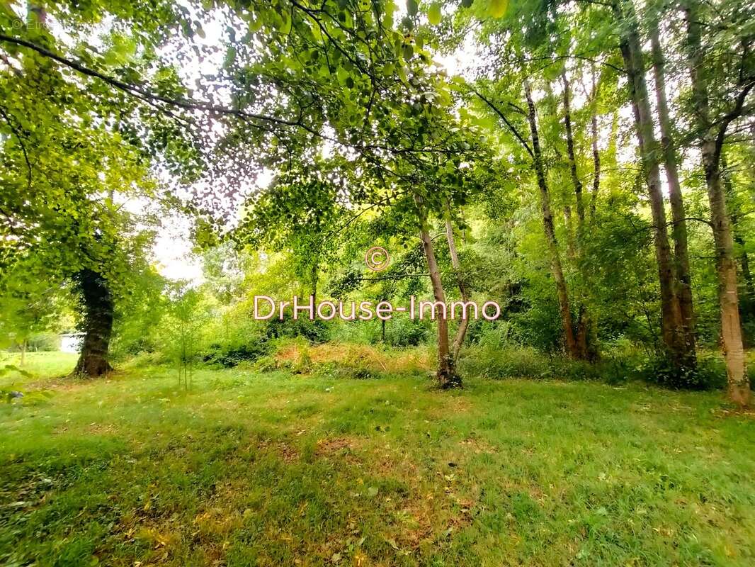 Terrain à SAINT-GEORGES-LES-BAILLARGEAUX