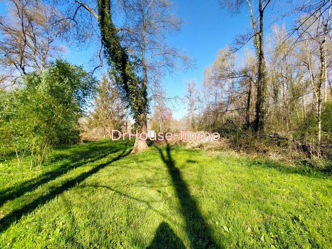 Terrain à SAINT-GEORGES-LES-BAILLARGEAUX