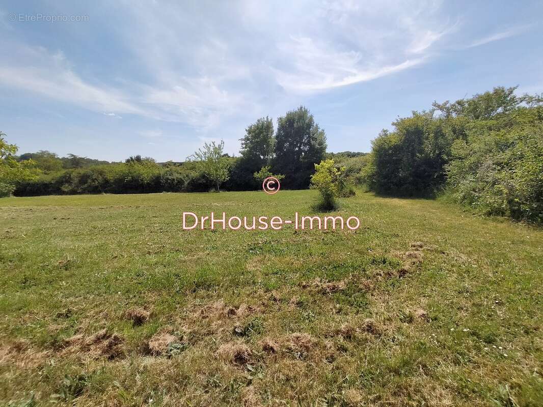 Terrain à LA ROCHE-POSAY