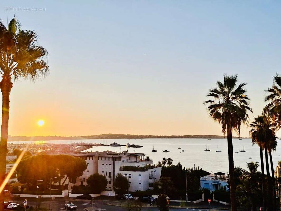 Appartement à VALLAURIS