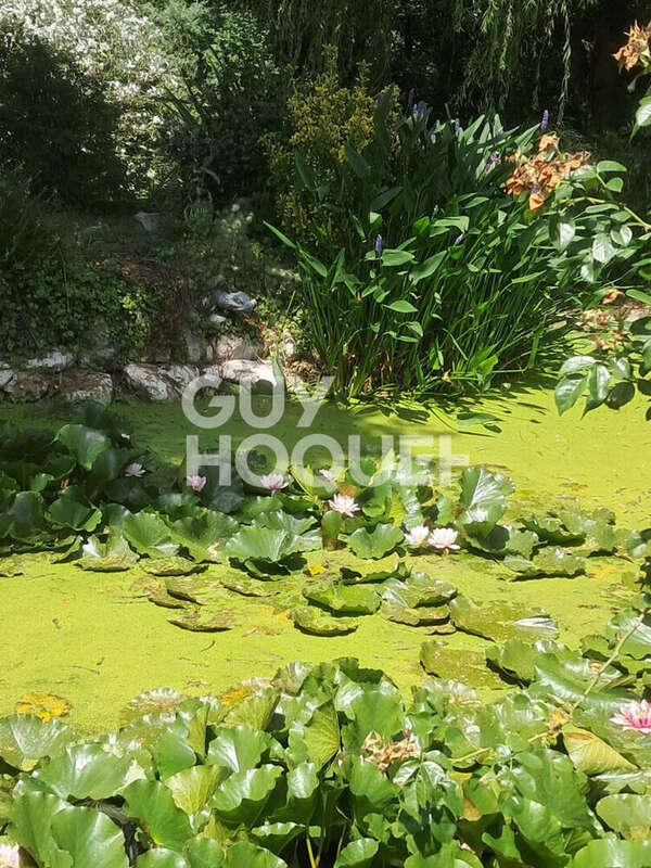 Maison à MONTGAILLARD