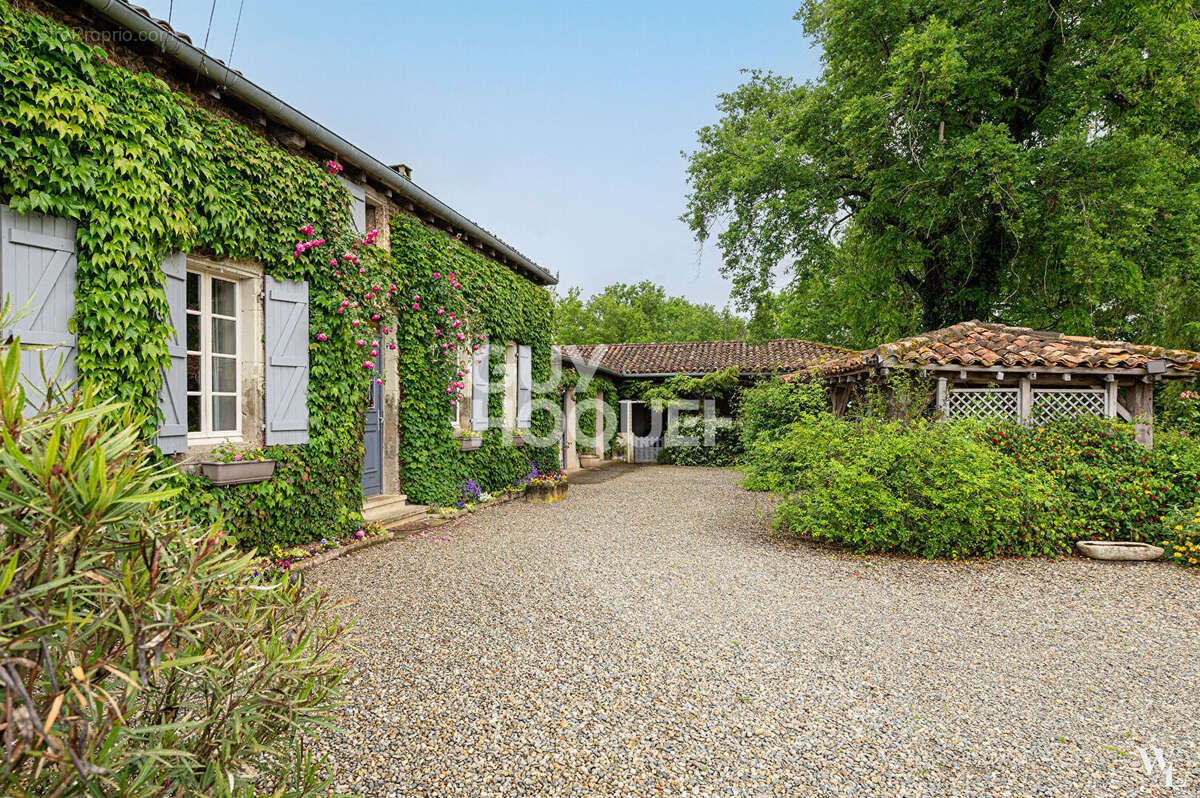 Maison à MONTGAILLARD