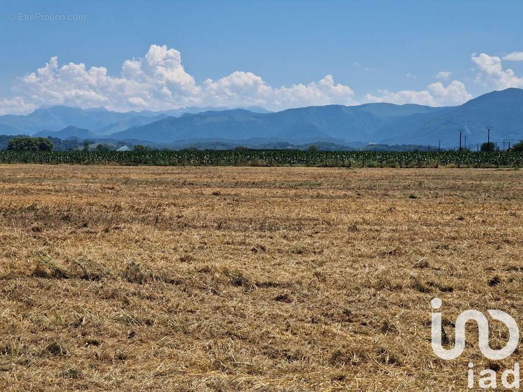 Photo 2 - Terrain à BAUDREIX