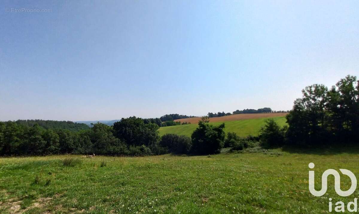 Photo 4 - Maison à AUVILLAR