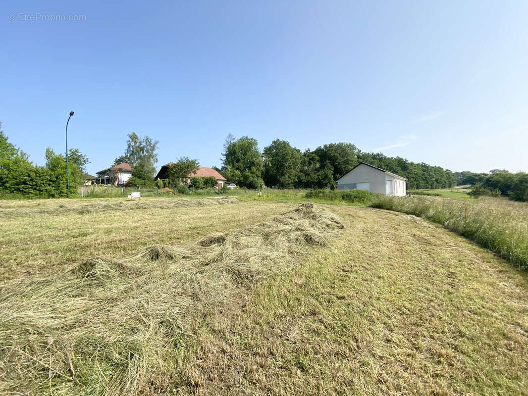 Terrain à BONNEVAUX-LE-PRIEURE