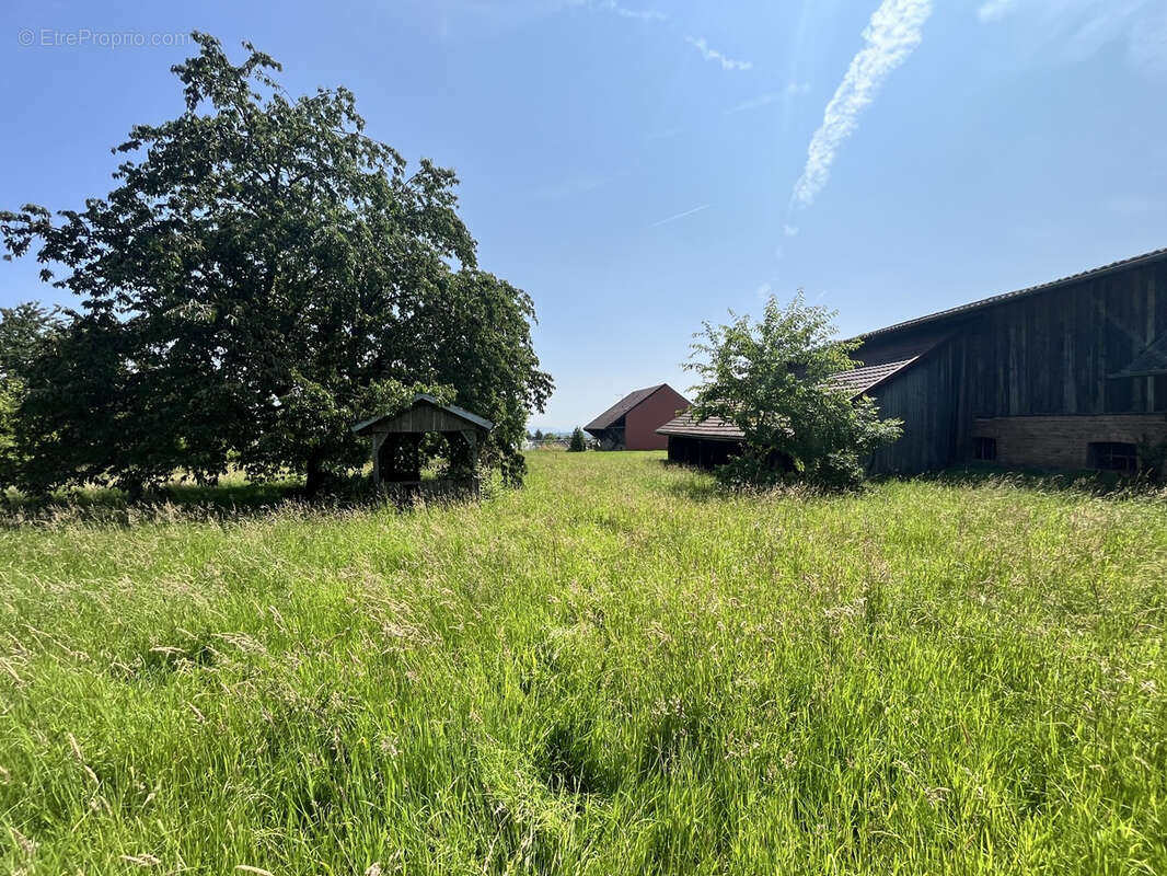 Terrain à FOLGENSBOURG