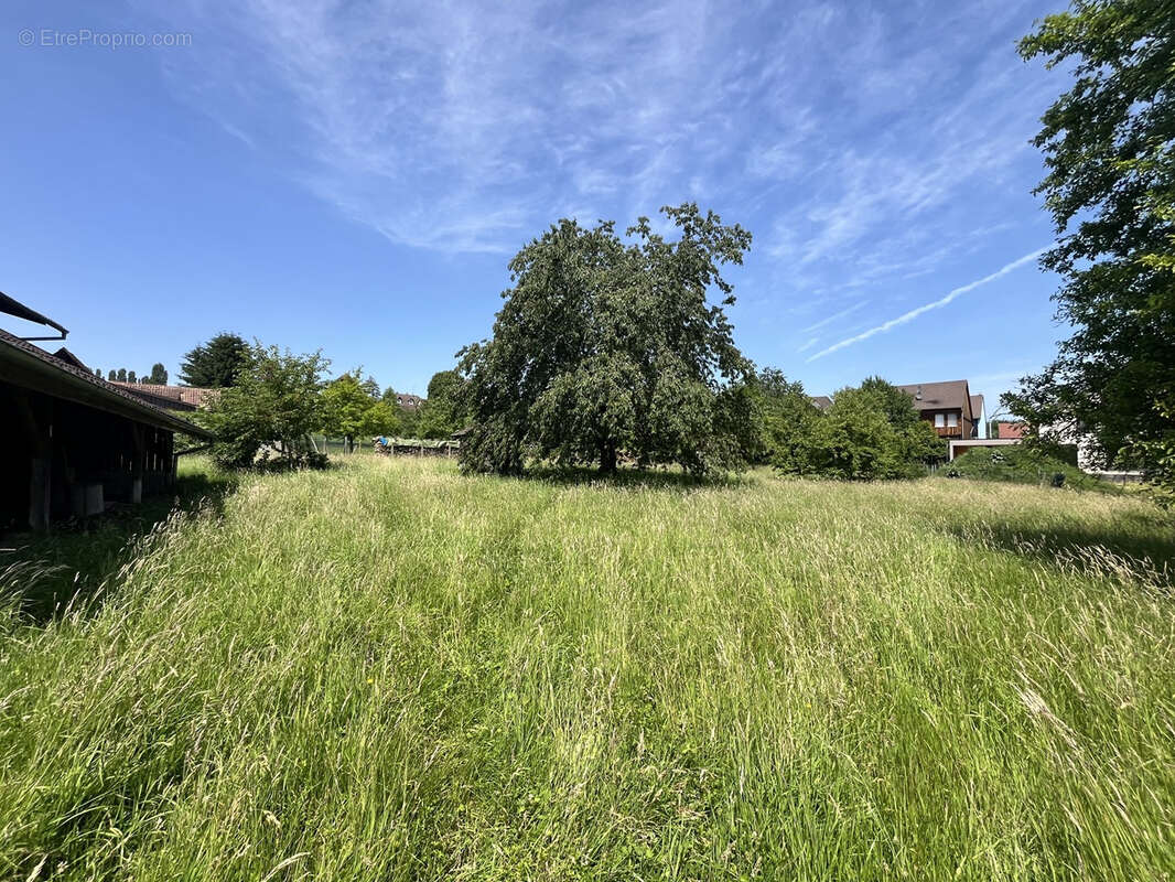 Terrain à FOLGENSBOURG