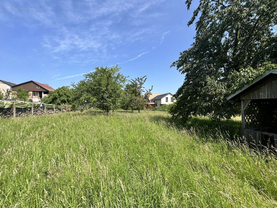 Terrain à FOLGENSBOURG