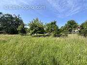 Terrain à FOLGENSBOURG