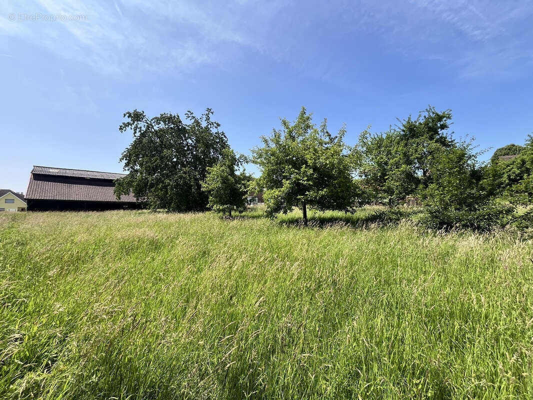 Terrain à FOLGENSBOURG