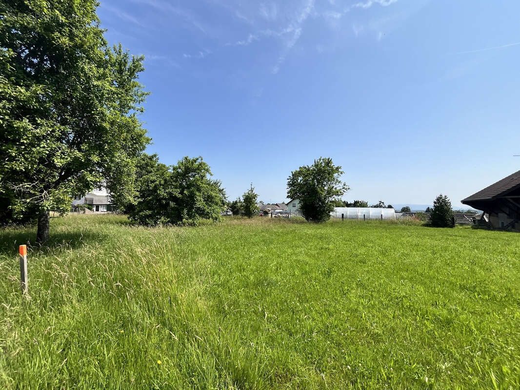 Terrain à FOLGENSBOURG