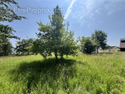 Terrain à FOLGENSBOURG