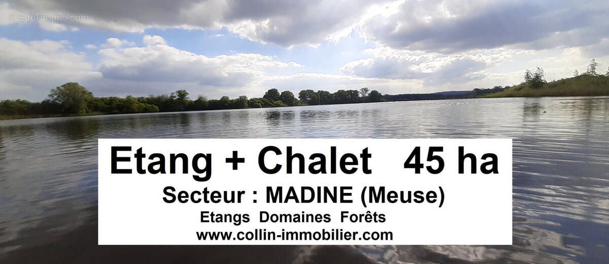 Terrain à VIGNEULLES-LES-HATTONCHATEL