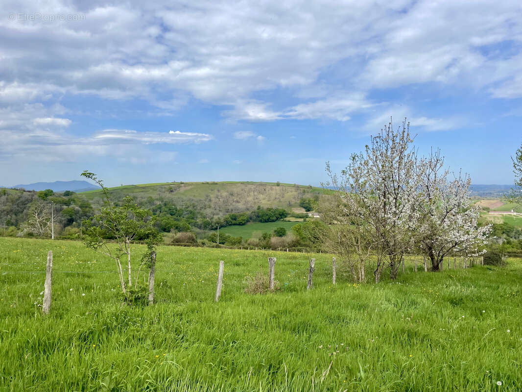Maison à LOHITZUN-OYHERCQ