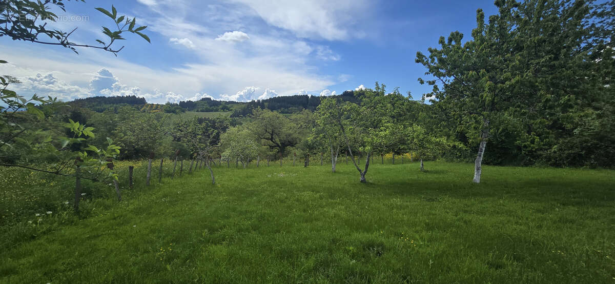 Maison à SAINTE-AGATHE