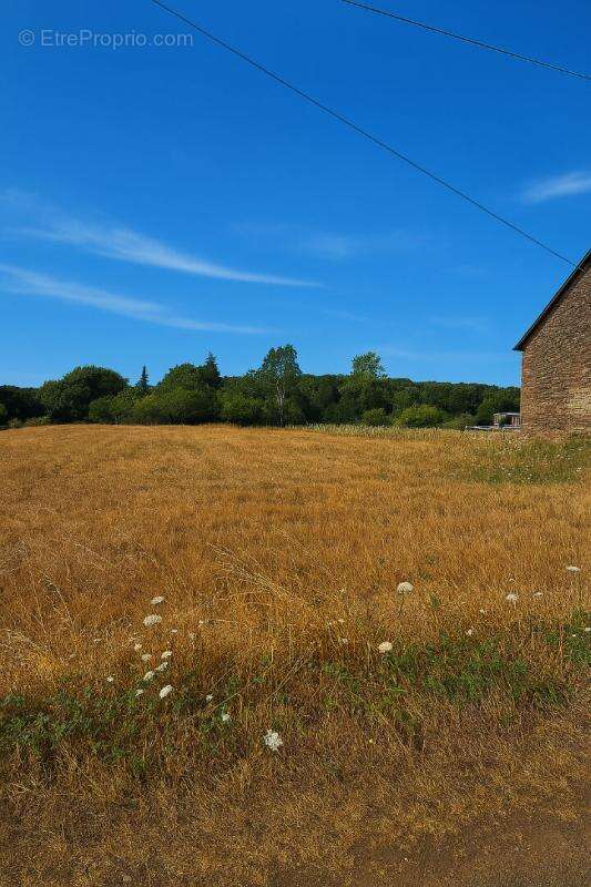 Terrain à CAMPENEAC