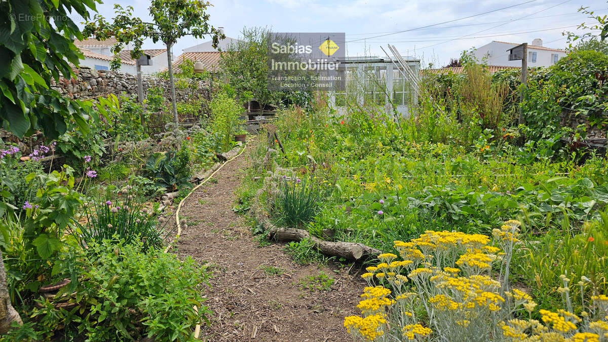 Maison à L&#039;ILE-D&#039;YEU