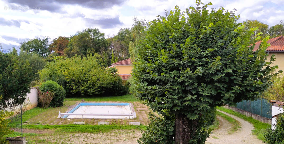 Terrain à LES CHERES