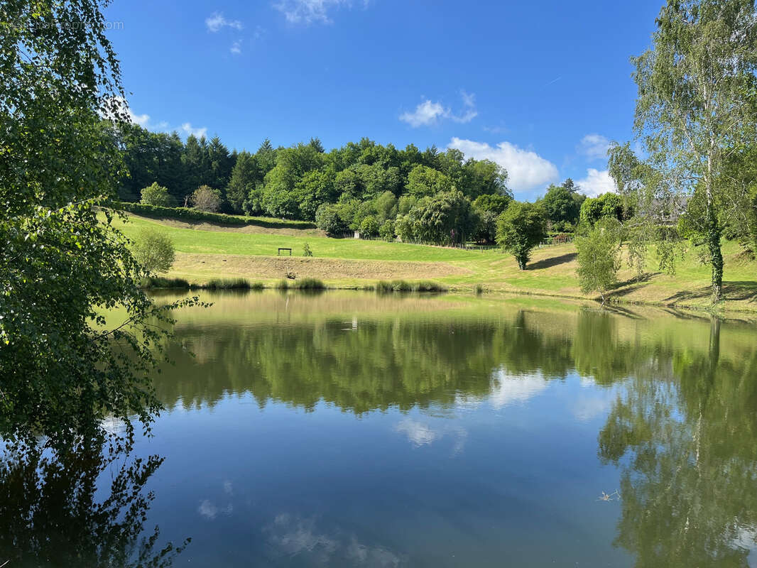 Terrain à COUSSAC-BONNEVAL