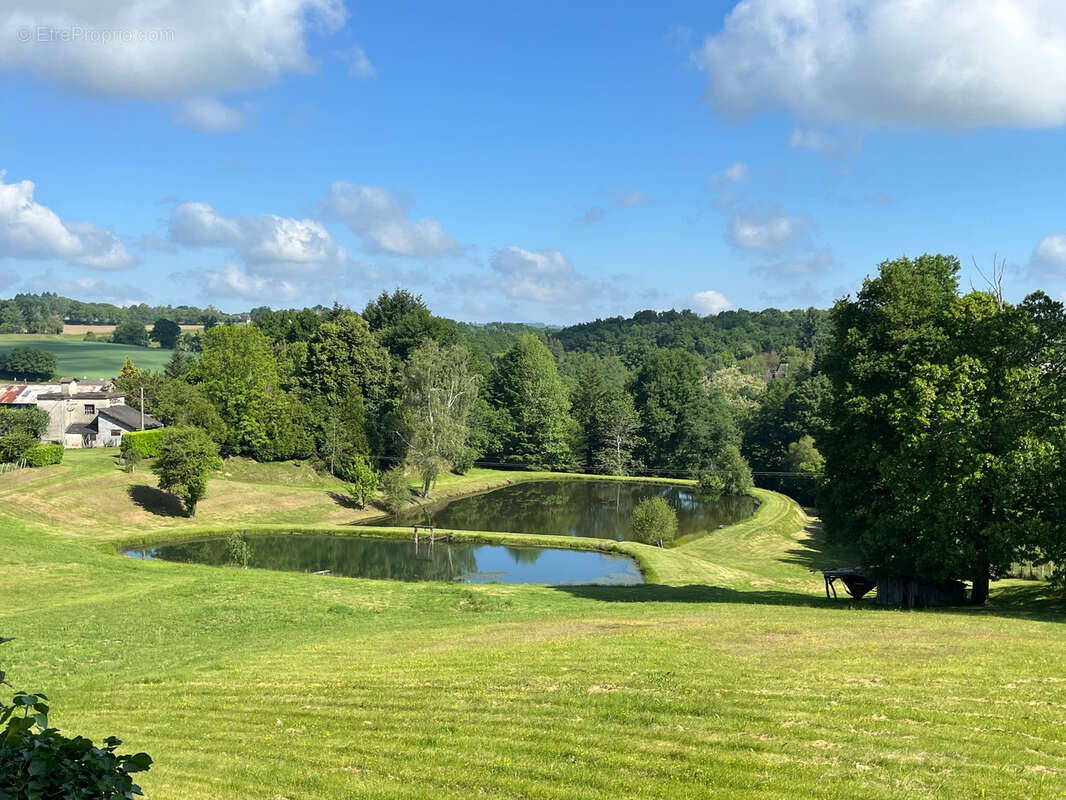 Terrain à COUSSAC-BONNEVAL
