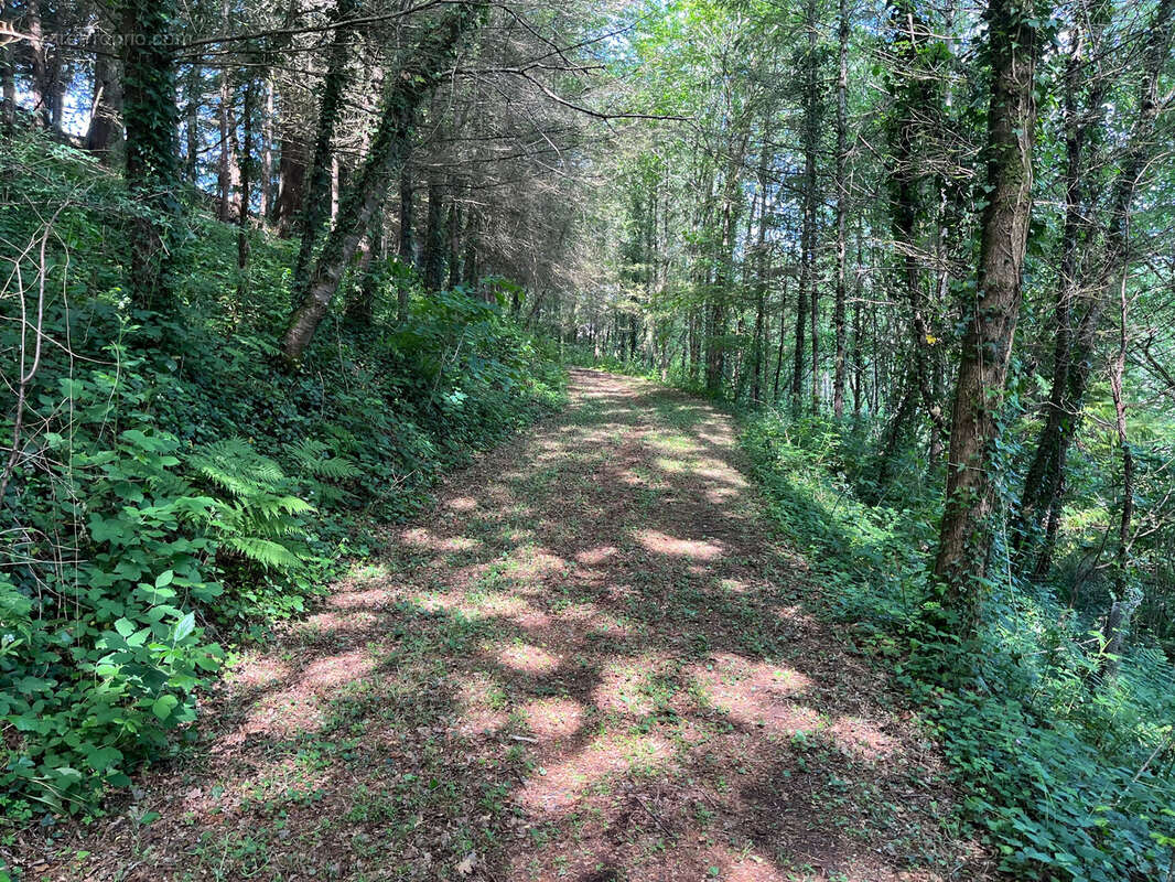 Terrain à COUSSAC-BONNEVAL
