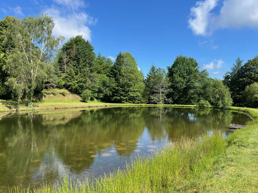Terrain à COUSSAC-BONNEVAL