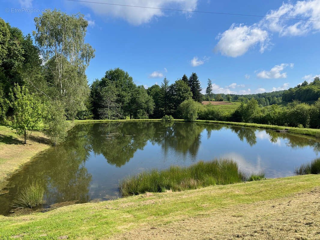 Terrain à COUSSAC-BONNEVAL