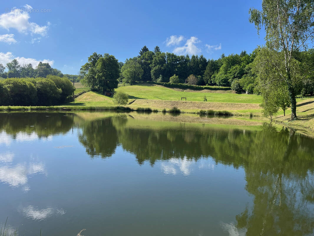 Terrain à COUSSAC-BONNEVAL