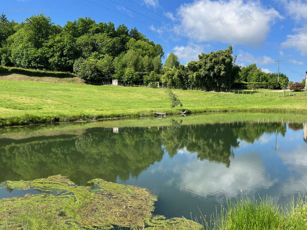 Terrain à COUSSAC-BONNEVAL