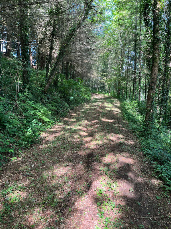 Terrain à COUSSAC-BONNEVAL
