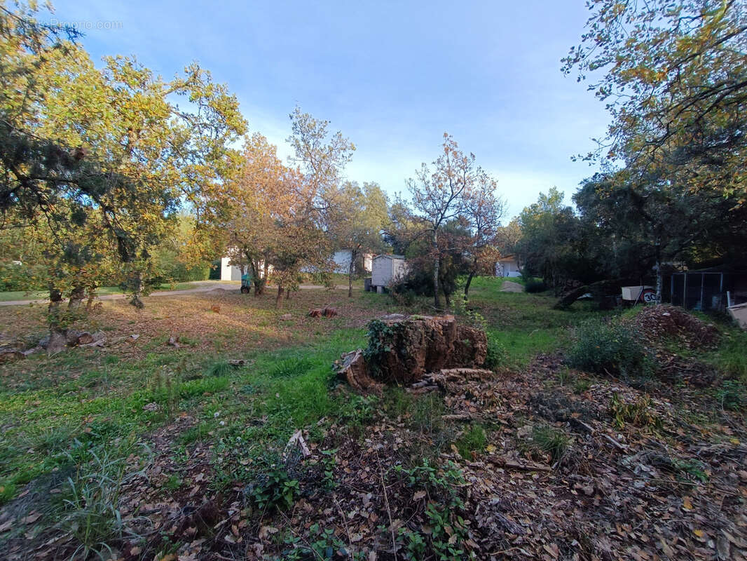 Terrain à LE CANNET-DES-MAURES