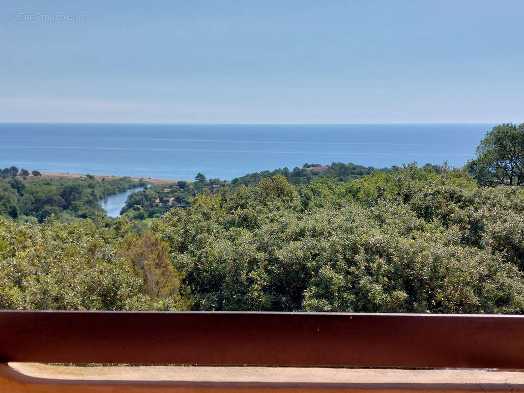 Maison à PORTO-VECCHIO