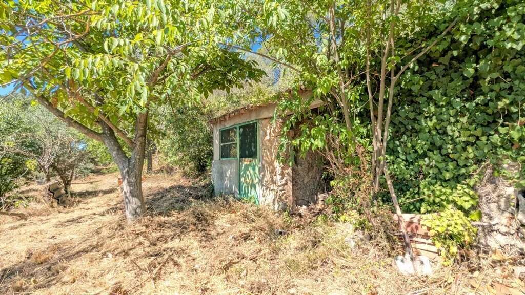 Terrain à MONTFORT-SUR-ARGENS