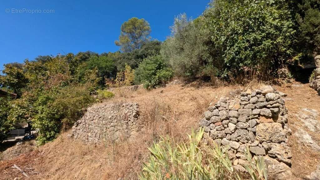 Terrain à MONTFORT-SUR-ARGENS
