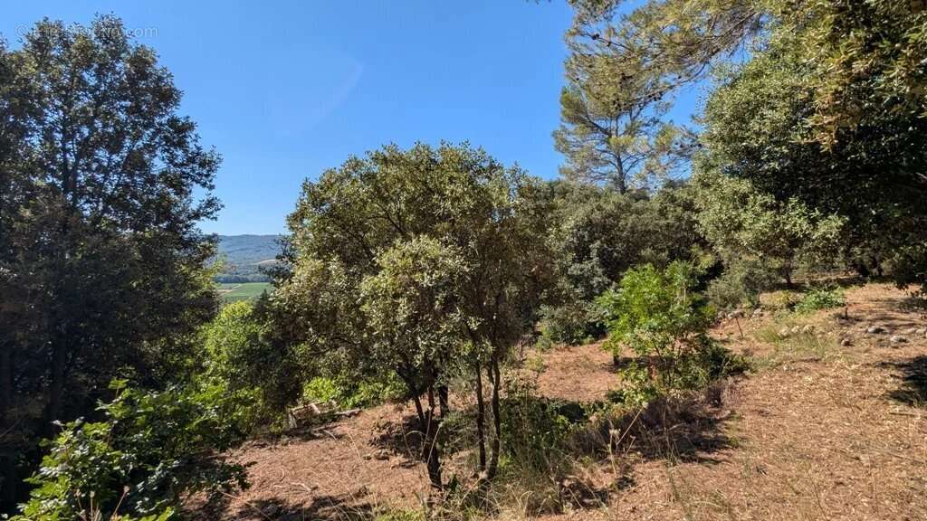 Terrain à MONTFORT-SUR-ARGENS