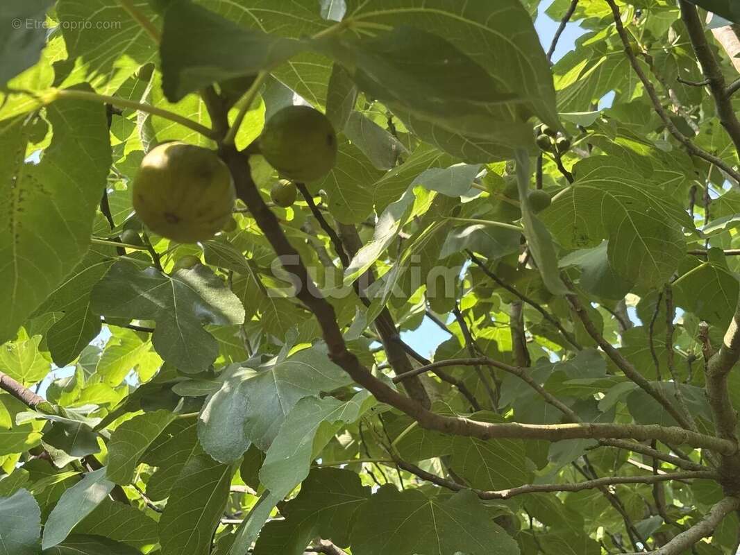 Maison à PRECY-LE-SEC