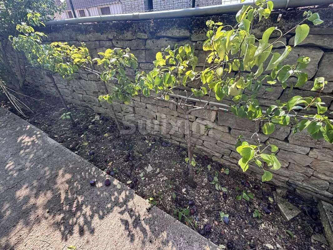 Maison à PRECY-LE-SEC