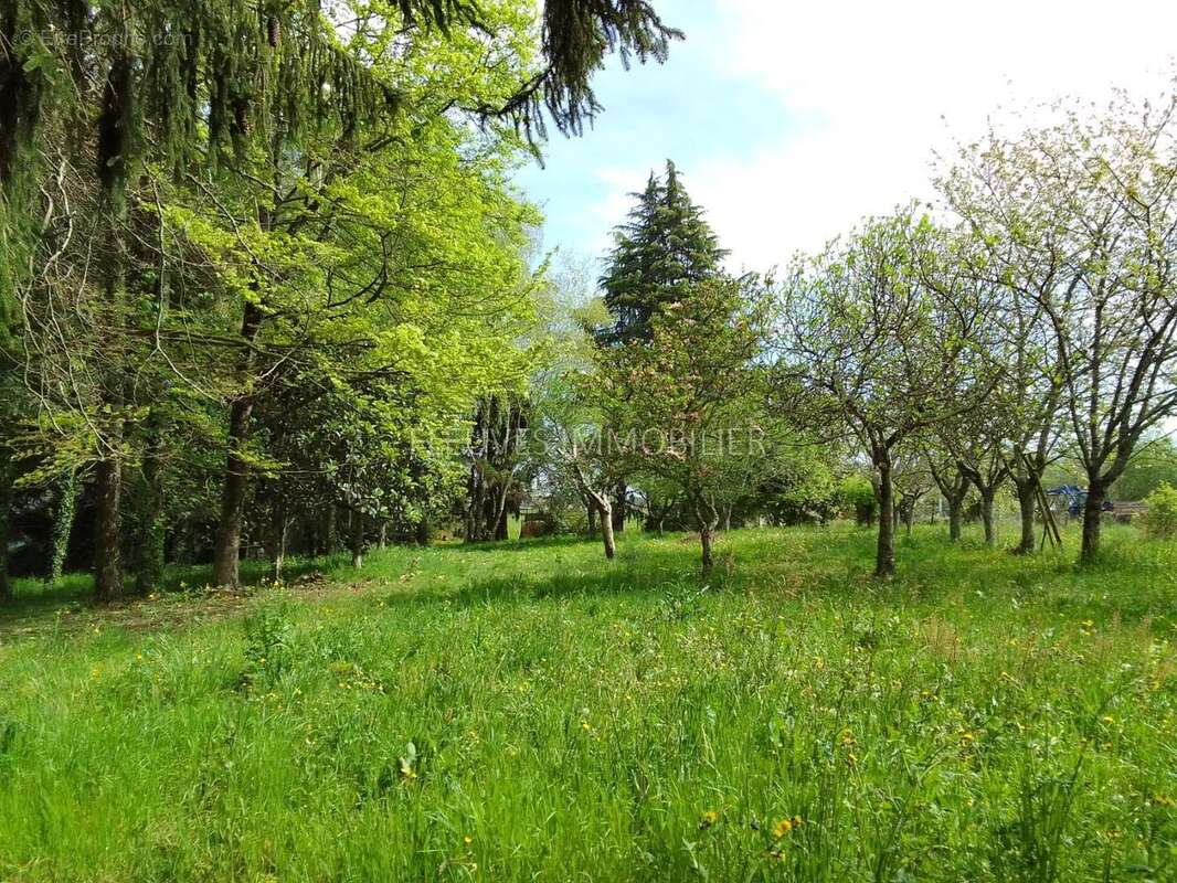 Maison à LUCQ-DE-BEARN