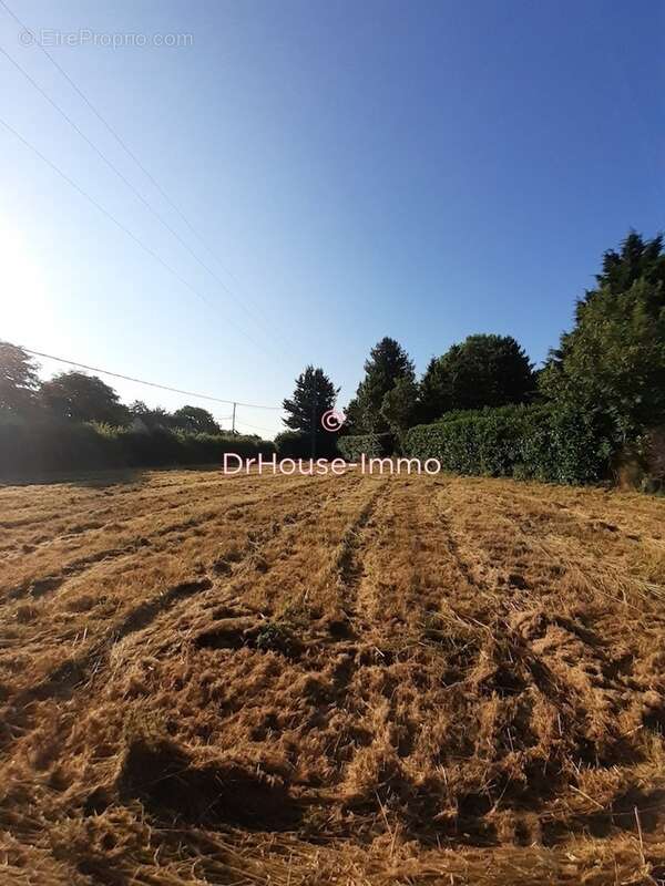 Terrain à BEAUMONT-LE-ROGER