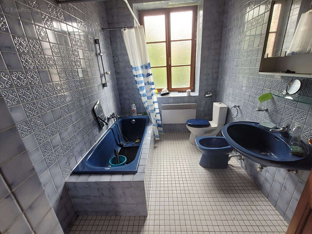 Maison à ARTZENHEIM