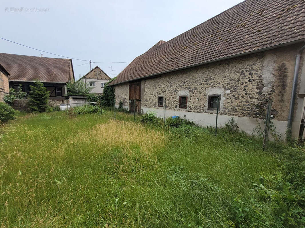 Maison à ARTZENHEIM