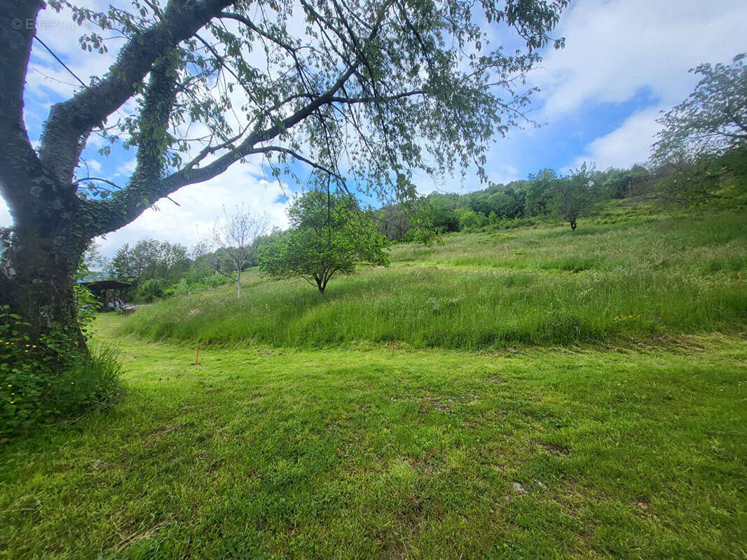 Terrain à SAINTE-AGNES