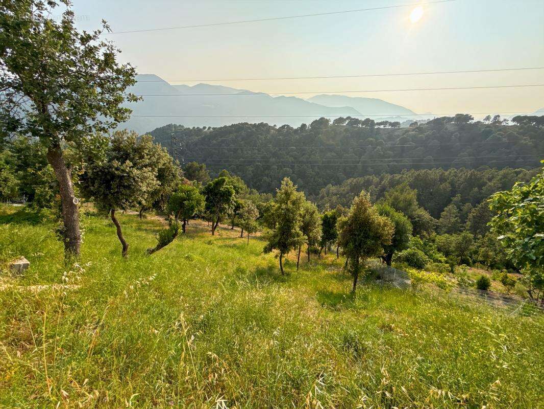 Maison à SAINT-MARTIN-DU-VAR