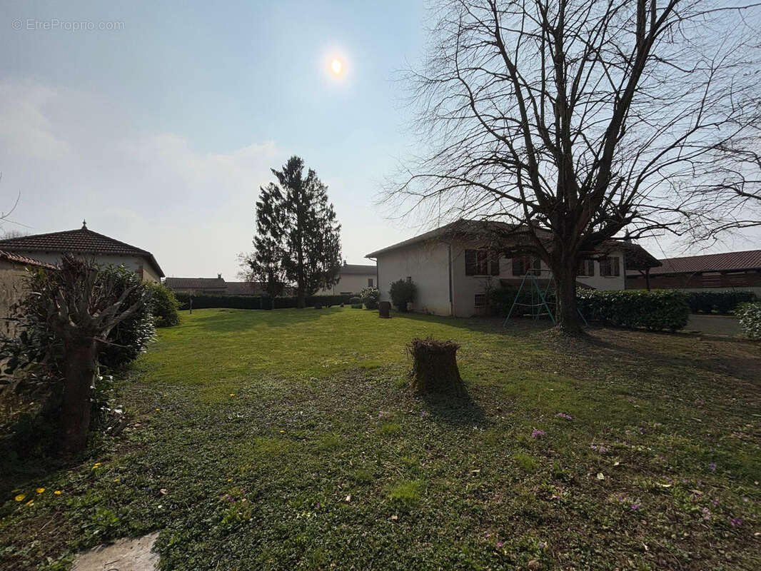 Maison à SAINT-JEAN-SUR-VEYLE