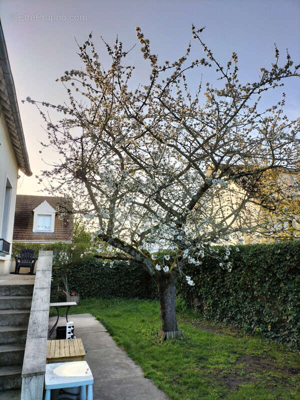 Maison à VILLIERS-SAINT-FREDERIC