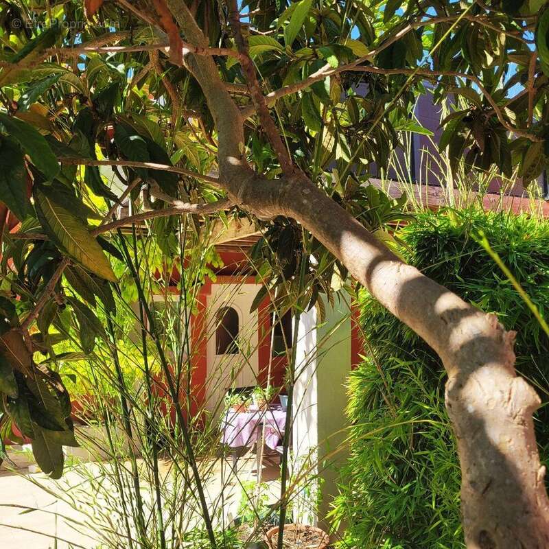 Photo 4 - Maison à PLAISSAN