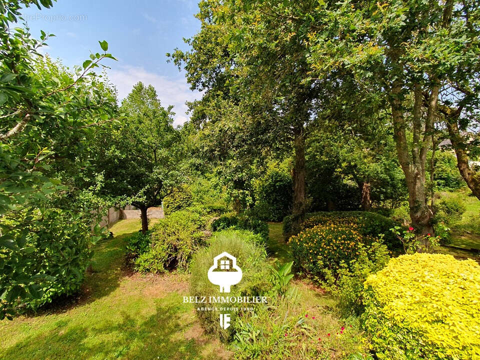 Maison à BELZ
